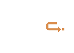 INDECT-1