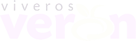 logo_veron-removebg-preview 1