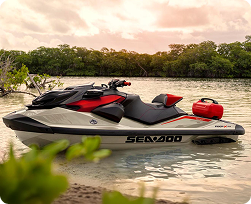 brp seadoo