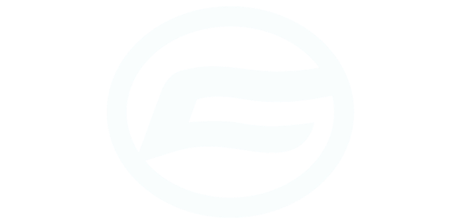 CF Moto Logo